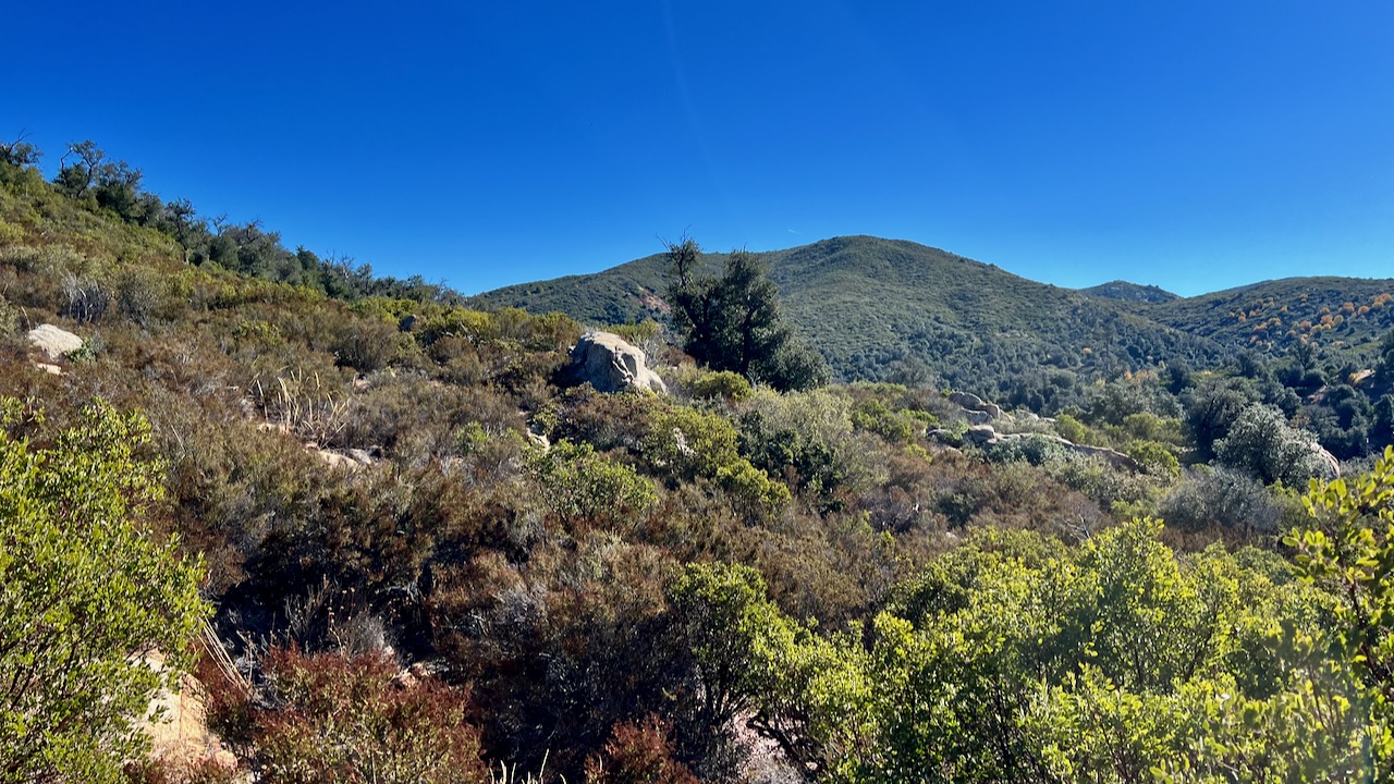 Whispers of Wind: A Brisk Adventure on Monument and West Mesa Trails