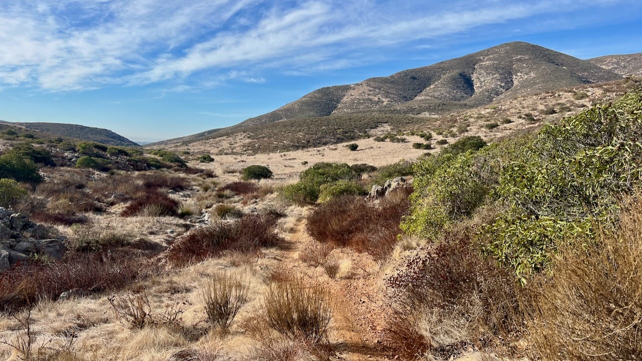 Discovering the Backside Trail to Miller Ranch Road