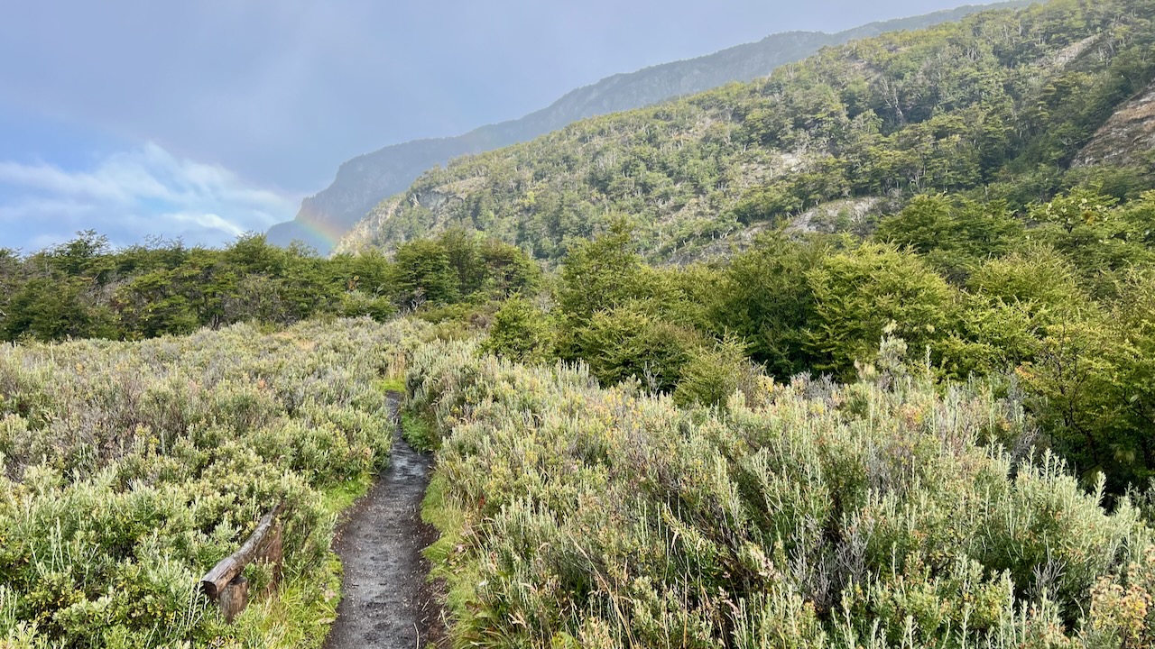 A Cloudy Afternoon on La Baliza Trail