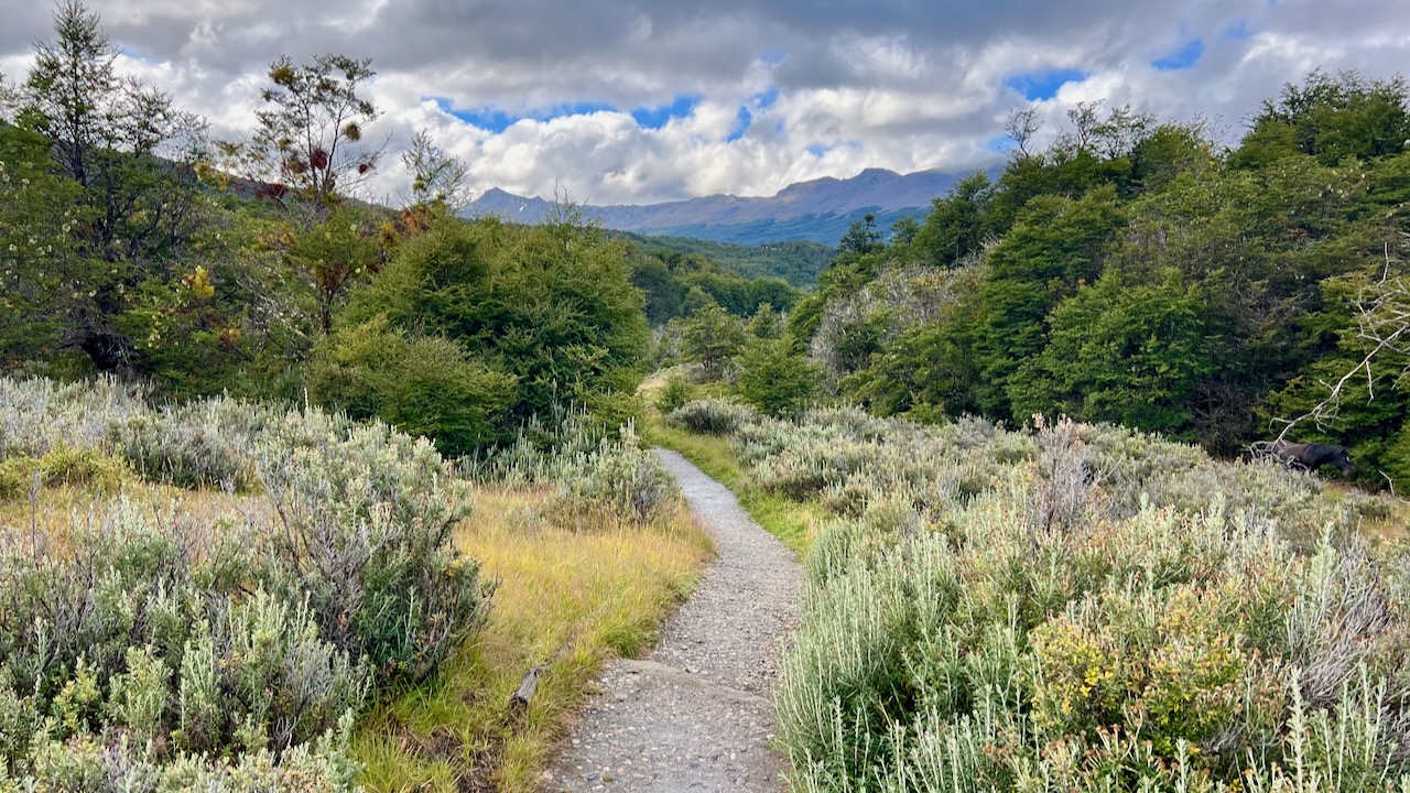 A Rainy Afternoon in Tierra del Fuego