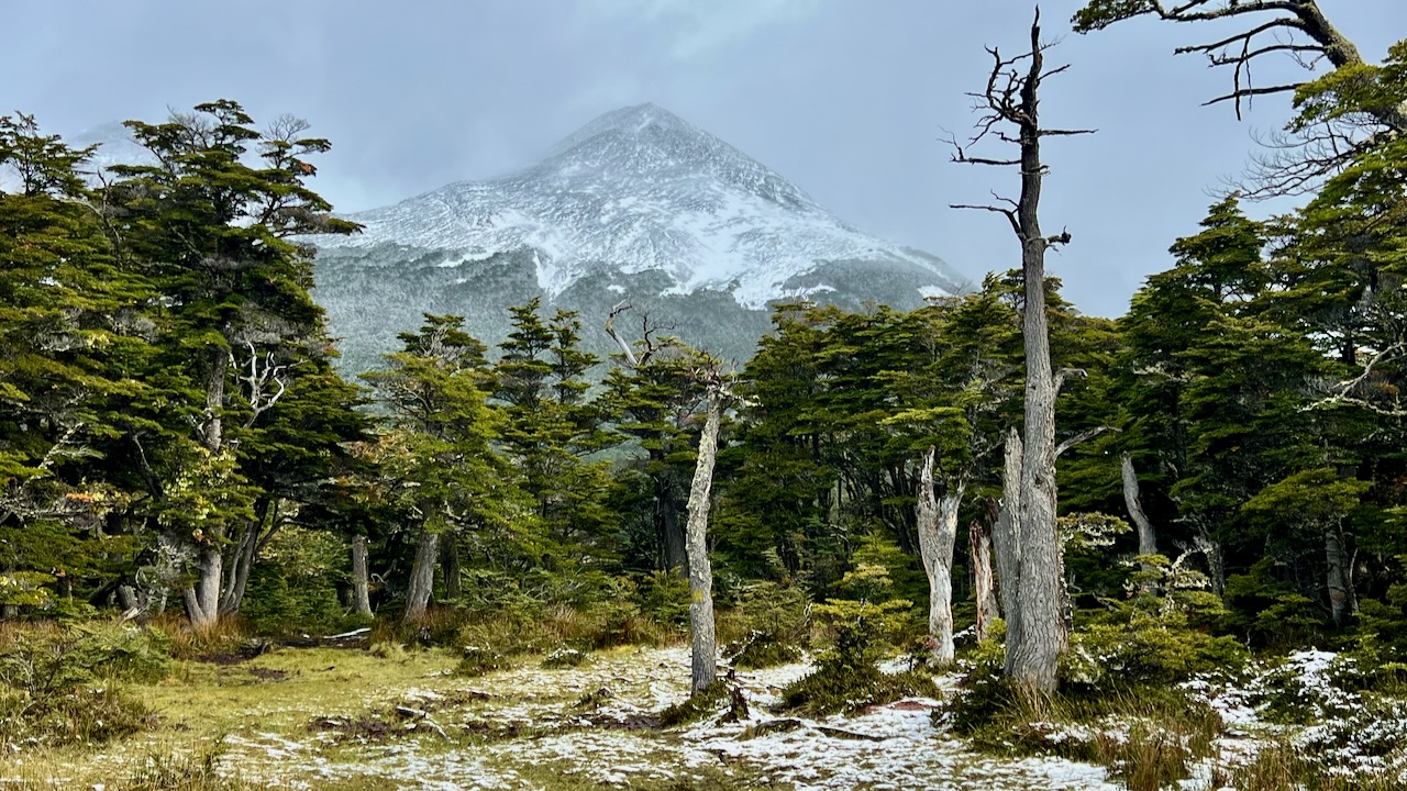 A Chilly Afternoon in the Martial Glacier Reserve