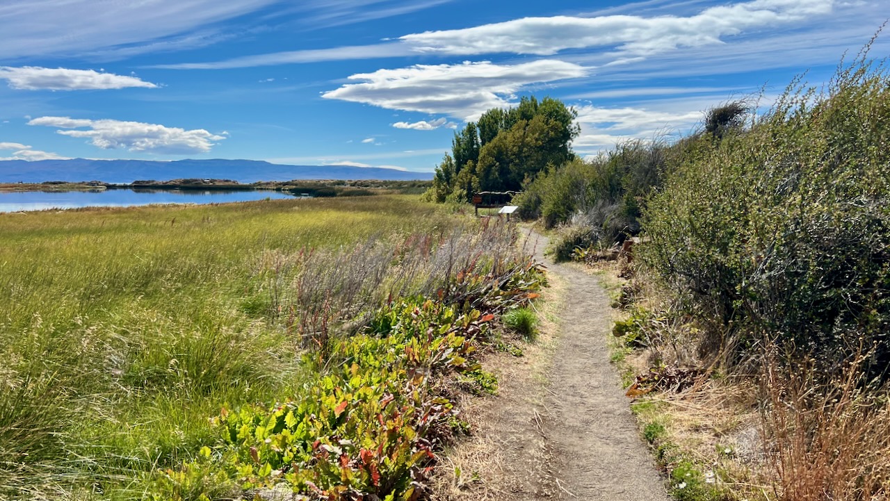A Sunny Afternoon at Nimez Lagoon