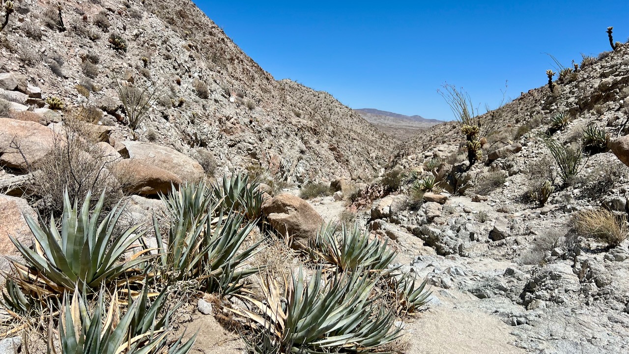 A Sunny Start in the Desert