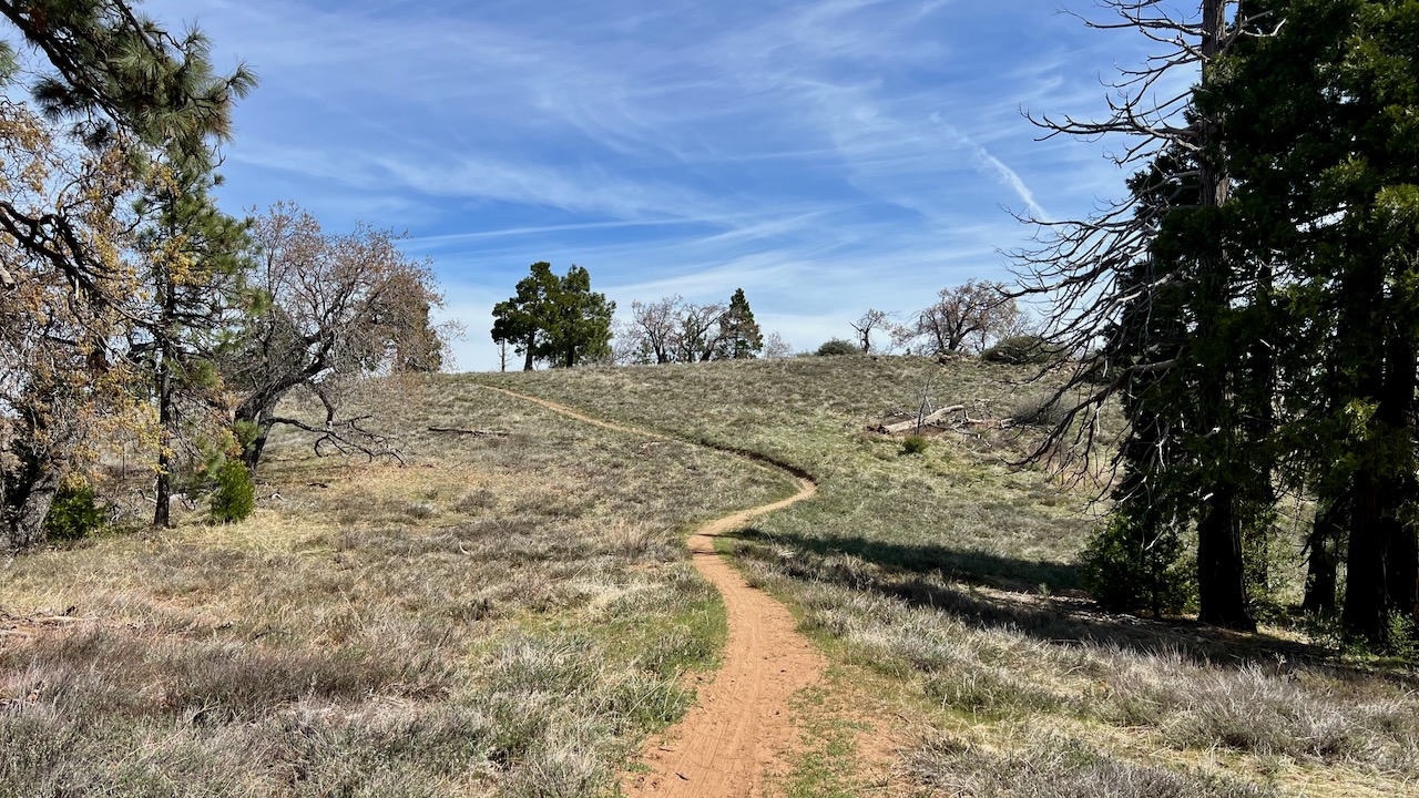 A Bright Start in the Laguna Mountains