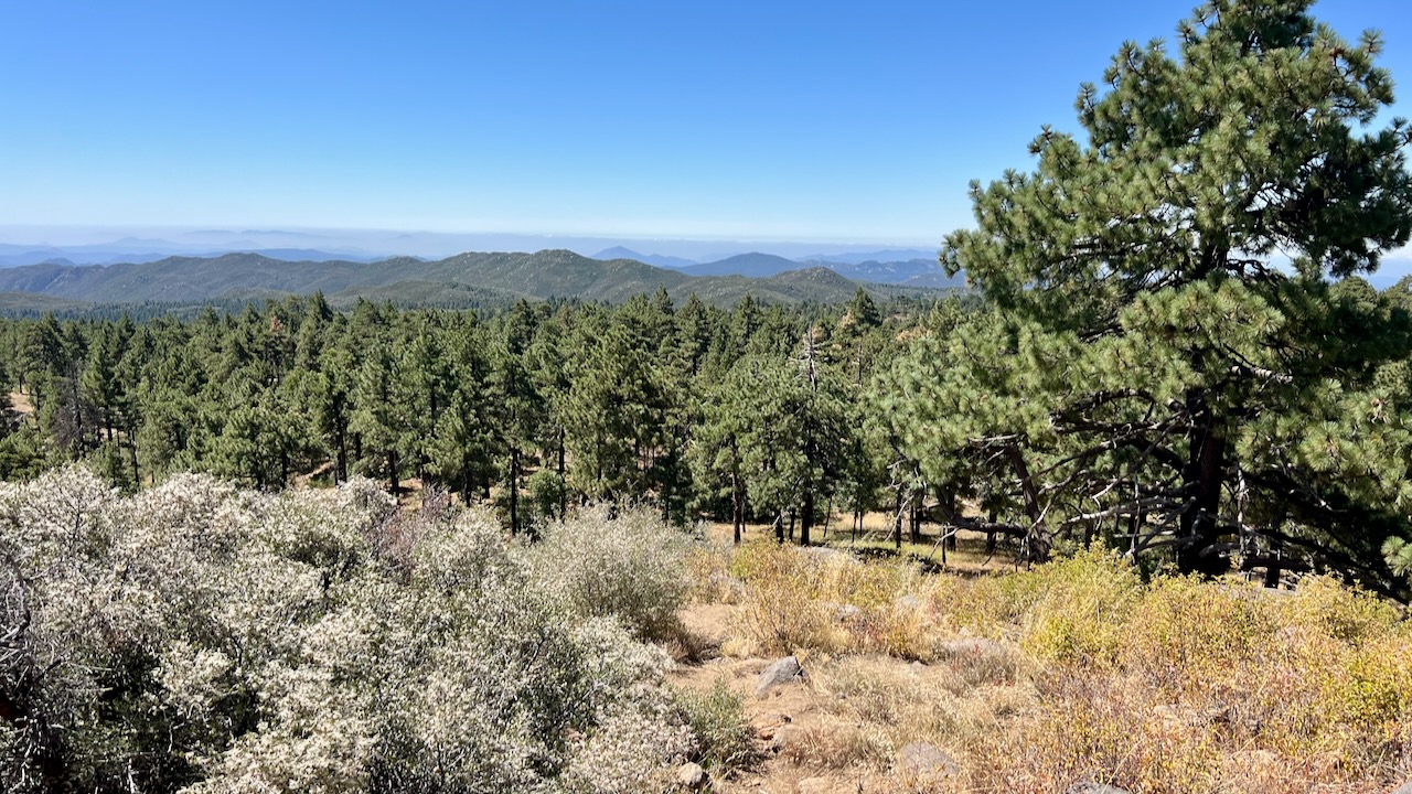 A Bright September Morning