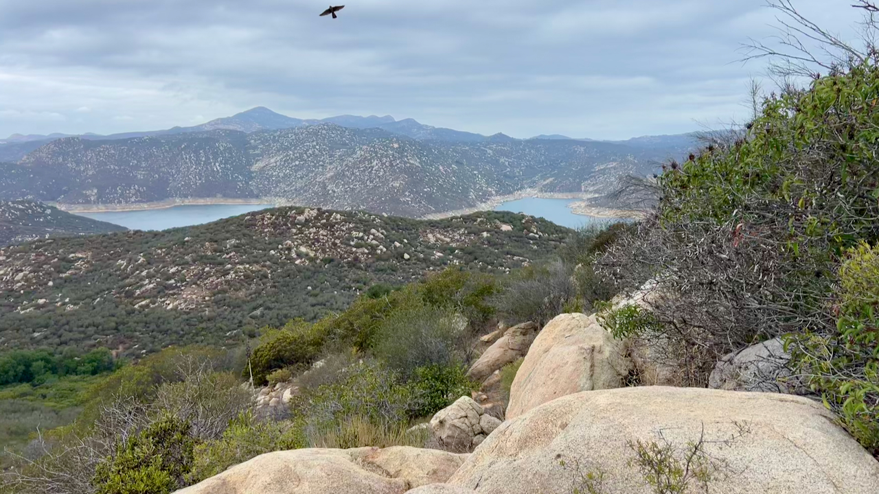 Morning at Oak Oasis