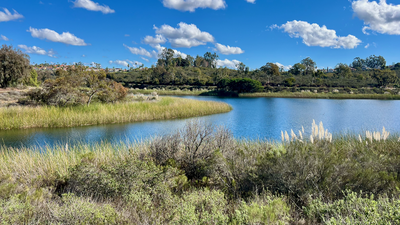 A Calm Day After Christmas