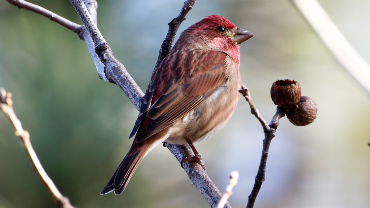 A Bright January Start in the Mountains