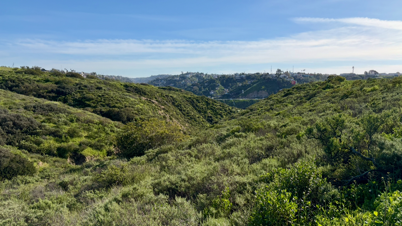 A Sunny Sunday on Spooners Mesa