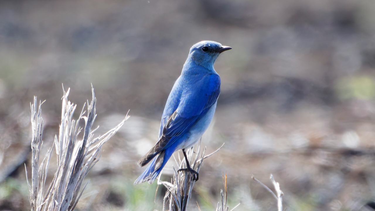 A Bright February Morning