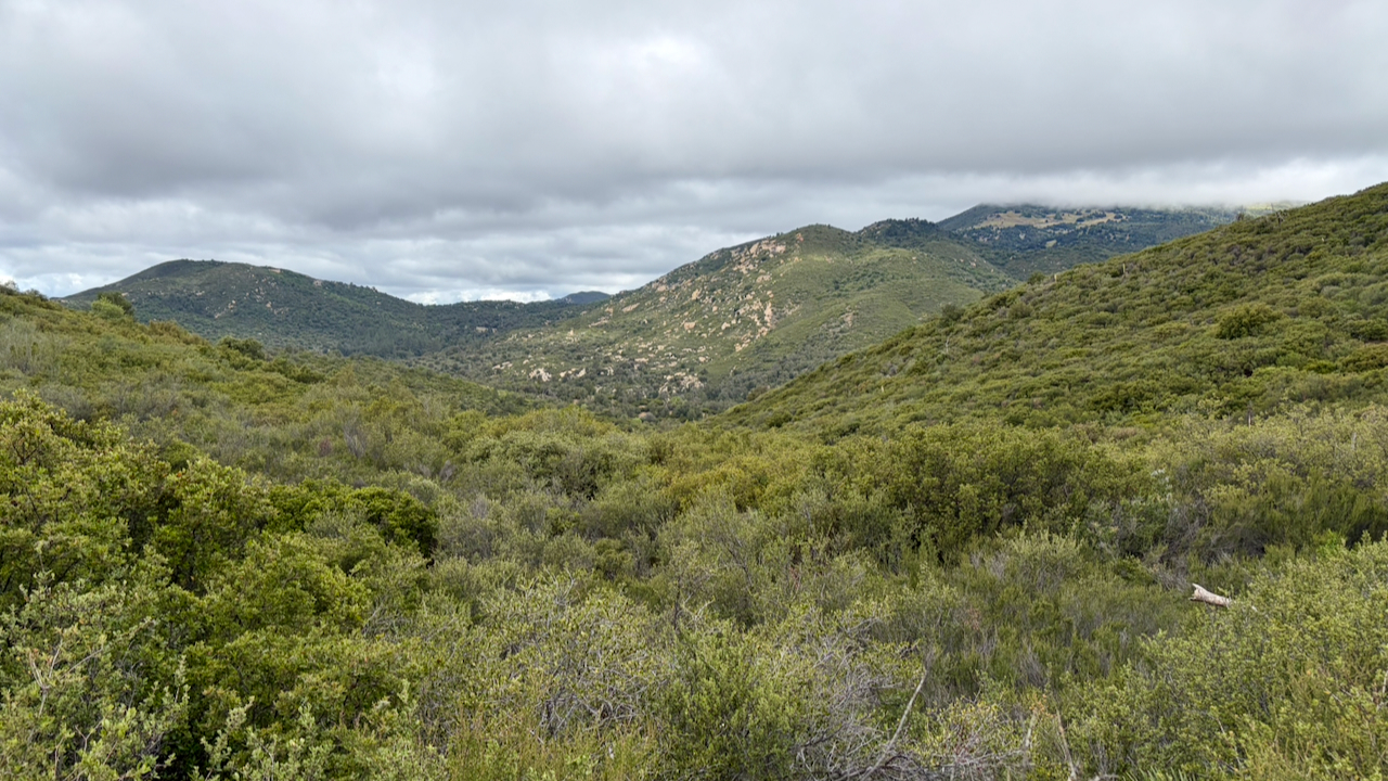 A Cloudy Morning at Cuyamaca