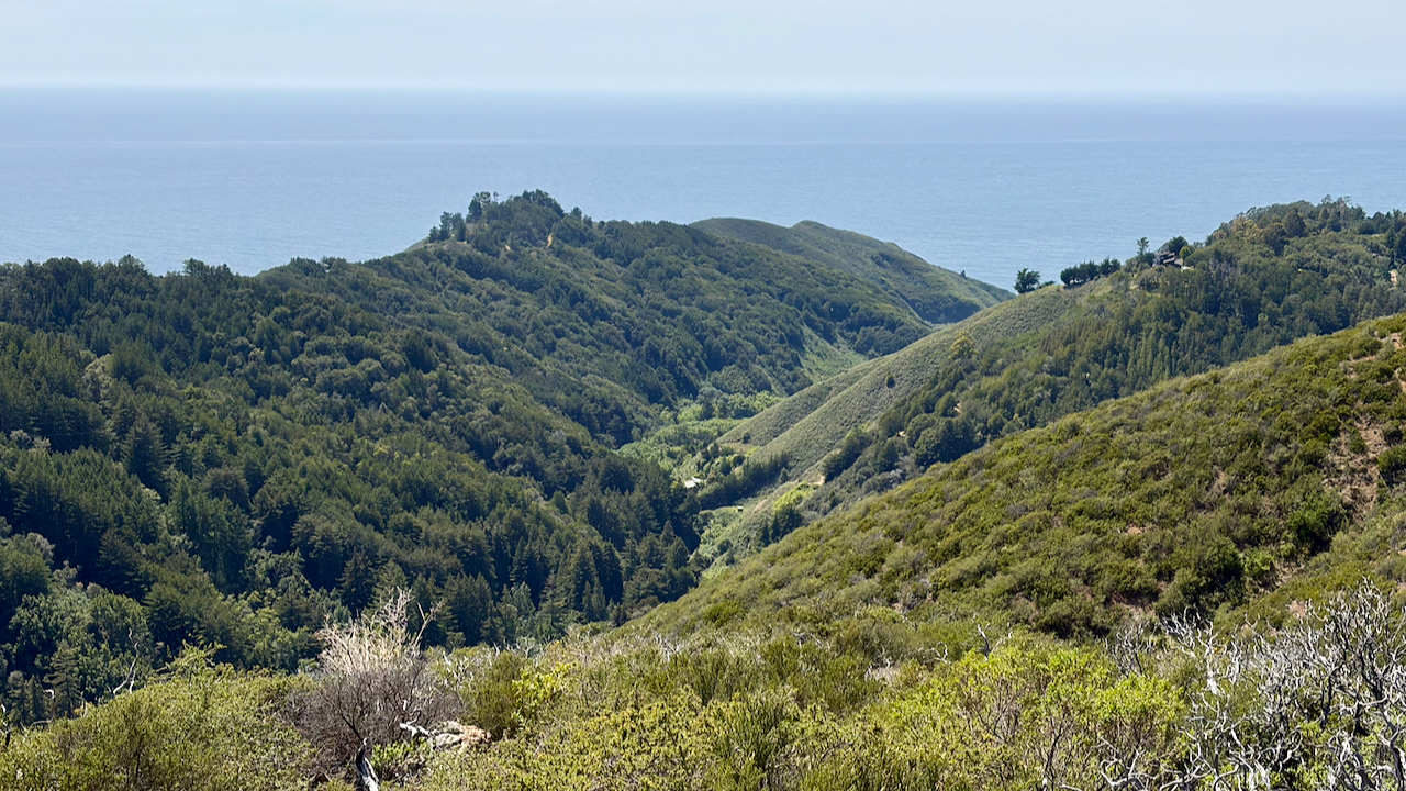 A Spring Day in Big Sur