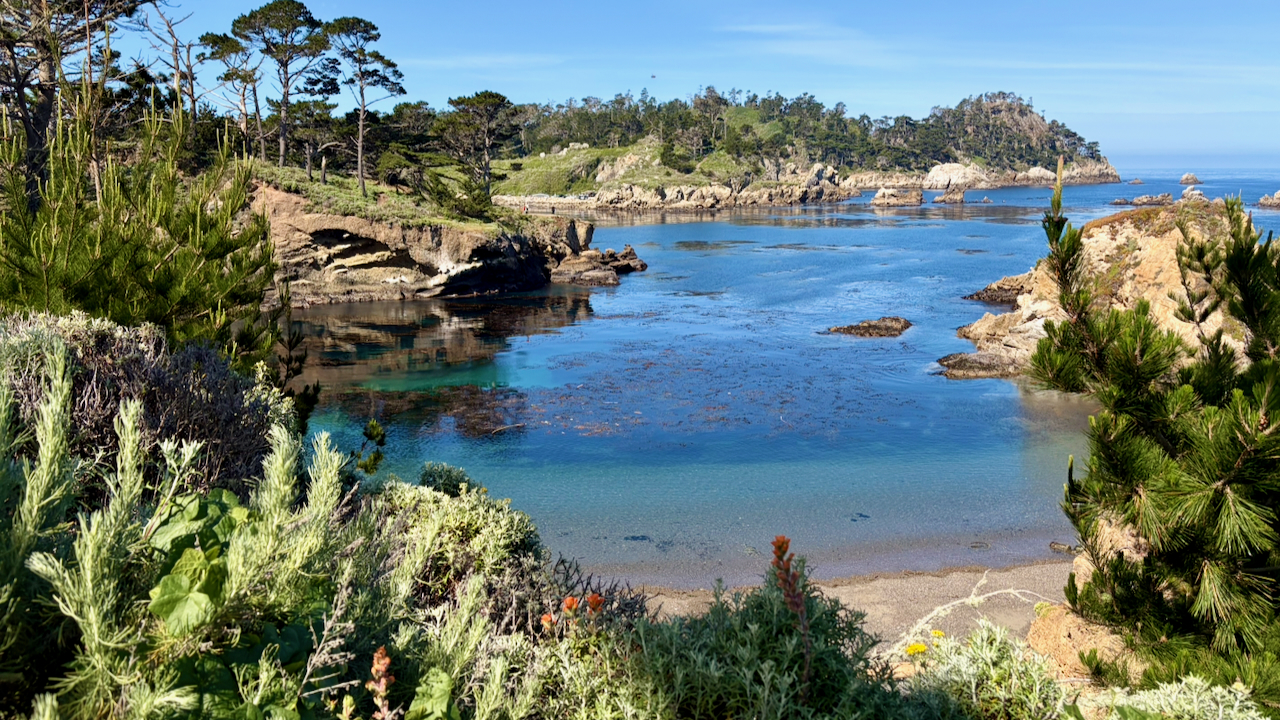 A Coastal Day at Point Lobos